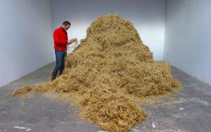 Italian Sven Sachsalber will spend 48 hours looking for a needle in a haystack